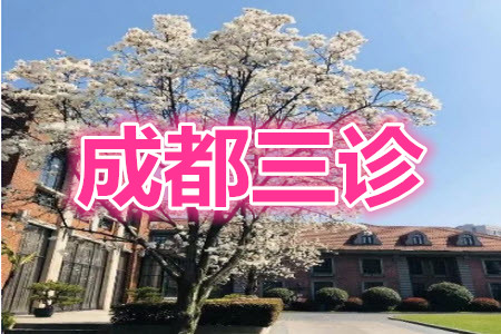 成都市2018級高中畢業(yè)班第三次診斷性檢測文科數(shù)學試題及答案