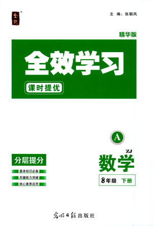 光明日報出版社2021全效學(xué)習(xí)課時提優(yōu)數(shù)學(xué)八年級下冊ZJ浙教版A版答案