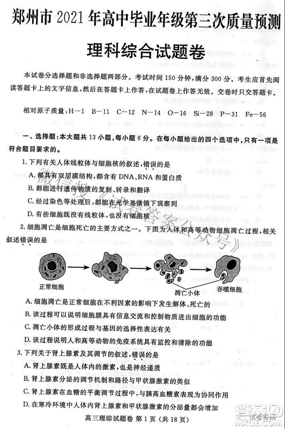 鄭州市2021年高中畢業(yè)年級第三次質量預測理科綜合試題及答案