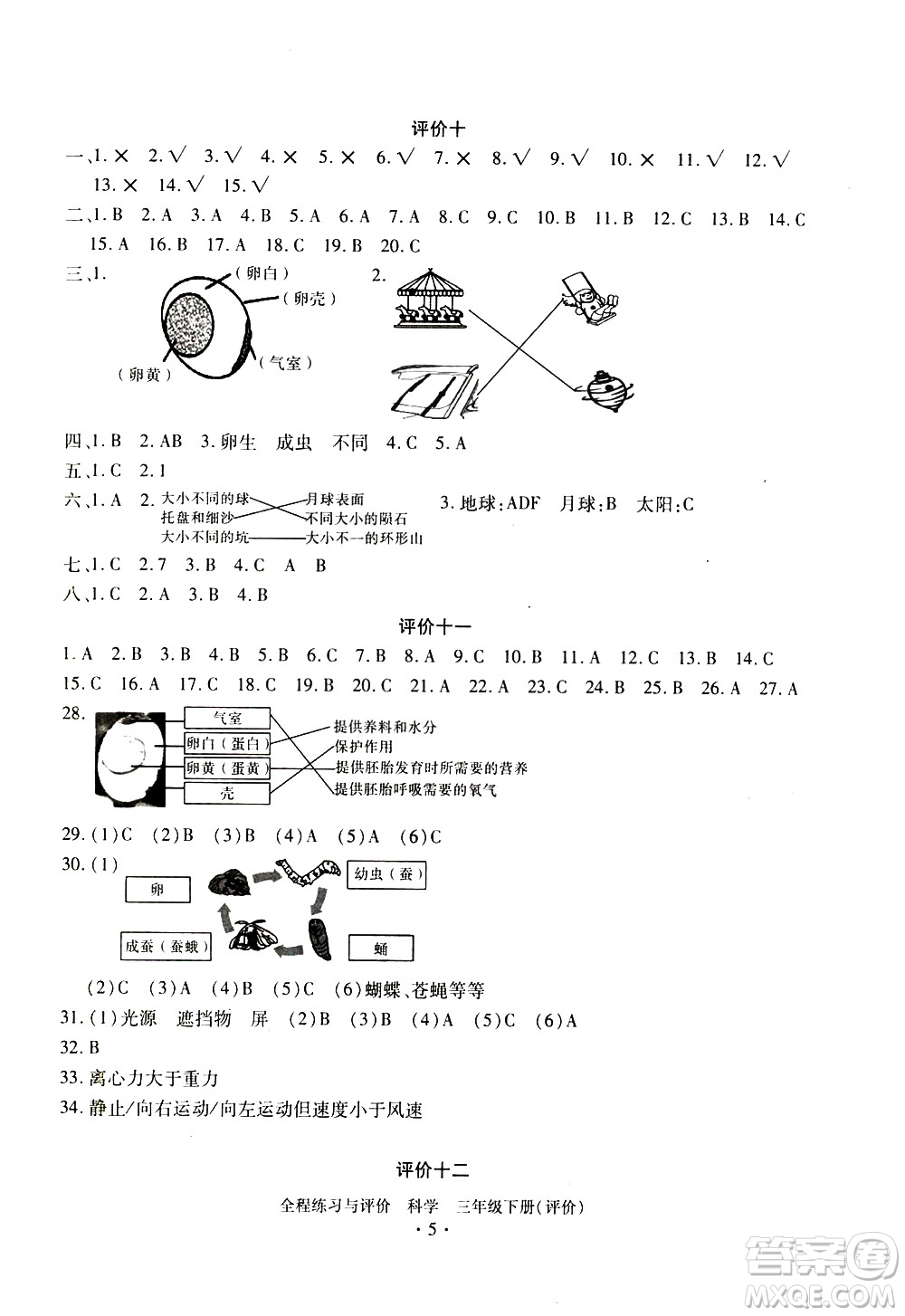 浙江人民出版社2021全程練習(xí)與評(píng)價(jià)評(píng)價(jià)三年級(jí)下冊(cè)科學(xué)J冀教版答案