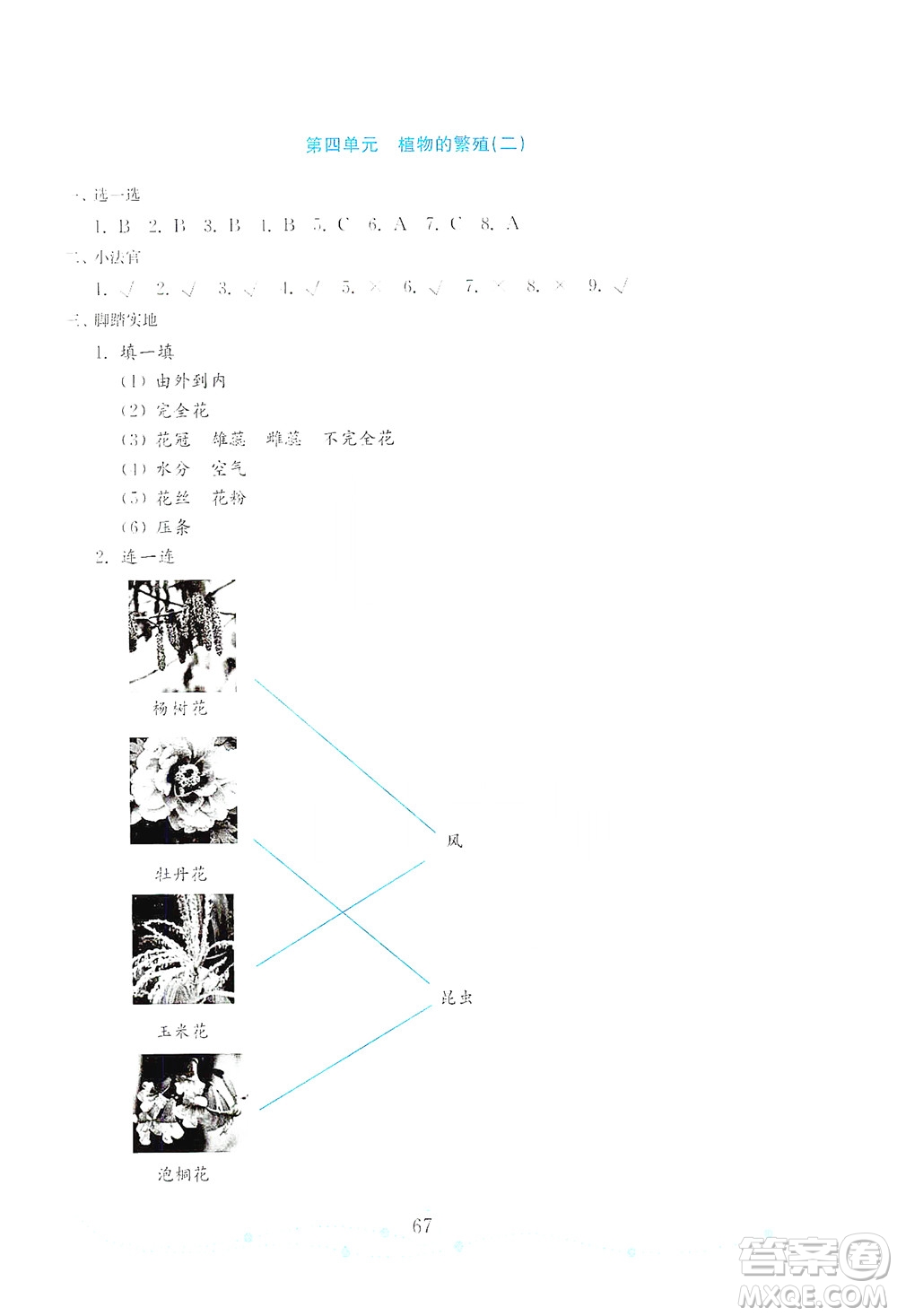 山東教育出版社2021年小學(xué)科學(xué)金鑰匙試卷四年級(jí)下冊(cè)金版青島版答案