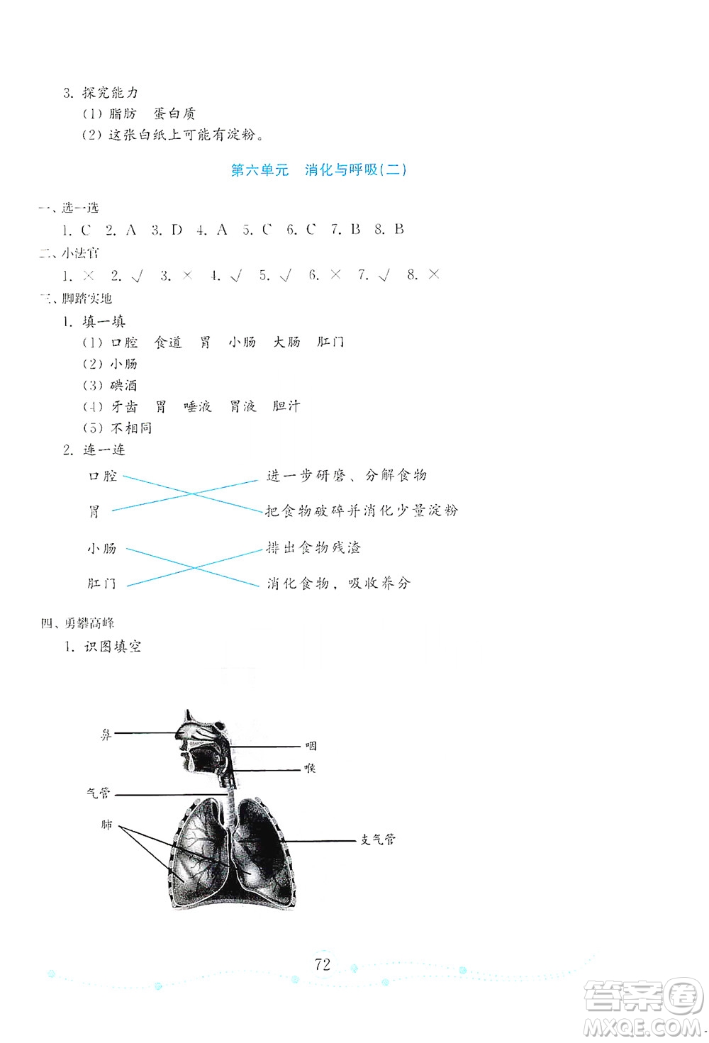 山東教育出版社2021年小學(xué)科學(xué)金鑰匙試卷四年級(jí)下冊(cè)金版青島版答案