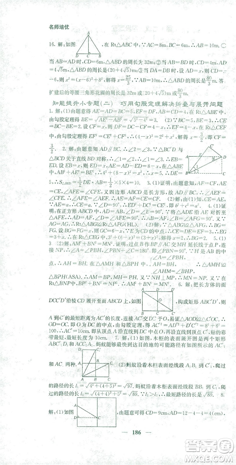 四川大學(xué)出版社2021名校課堂內(nèi)外數(shù)學(xué)八年級下冊人教版答案