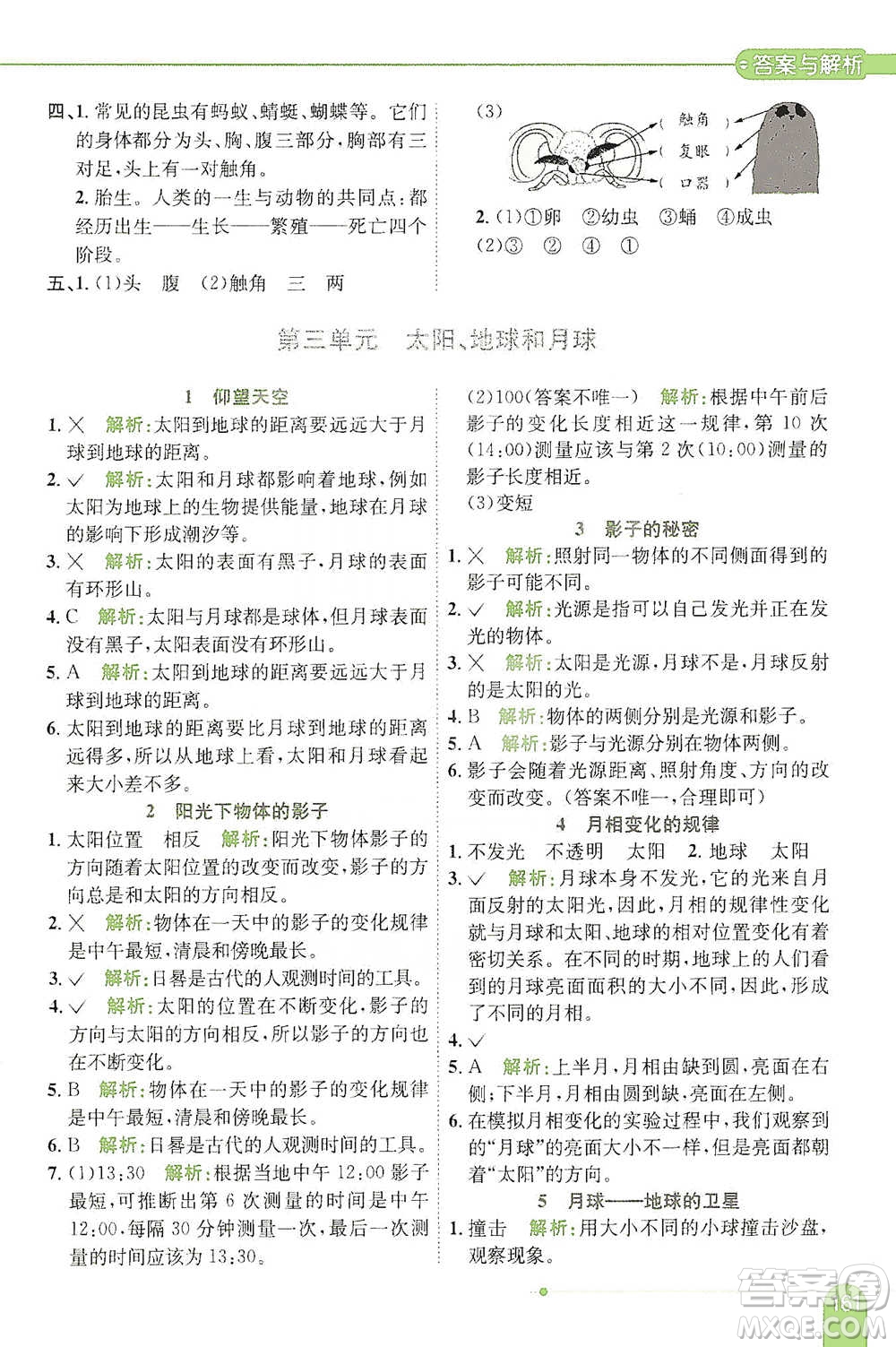 陜西人民教育出版社2021小學(xué)教材全解三年級(jí)下冊(cè)科學(xué)教科版參考答案