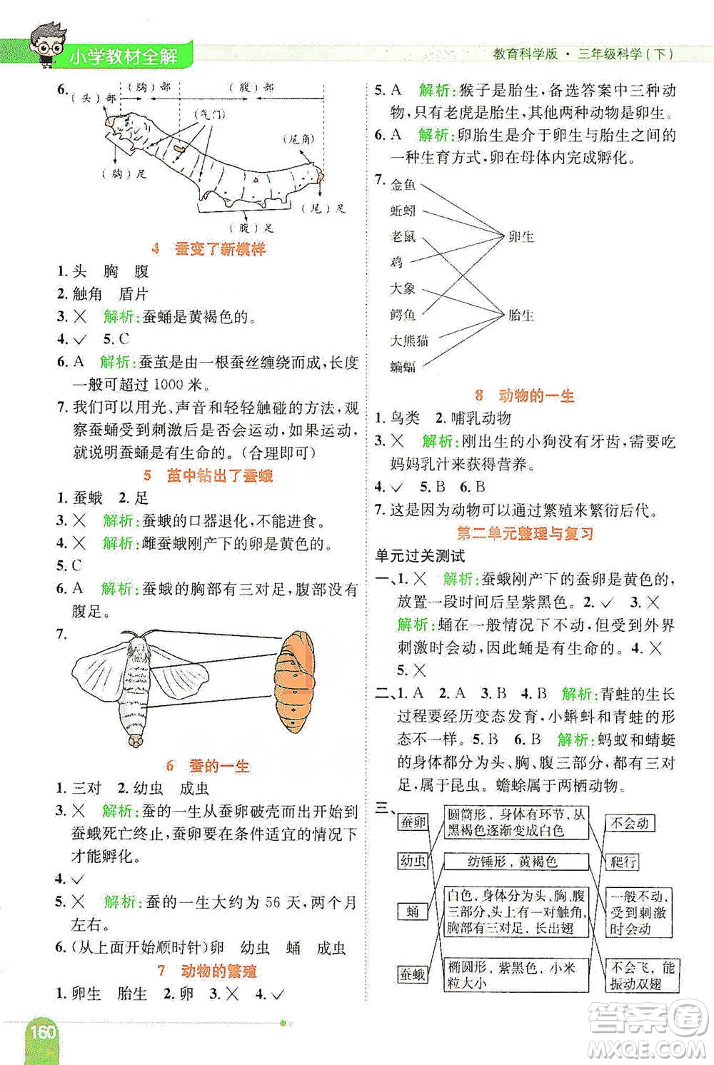 陜西人民教育出版社2021小學(xué)教材全解三年級(jí)下冊(cè)科學(xué)教科版參考答案