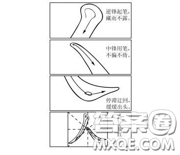 描紅唐光雨漫畫材料作文800字 關(guān)于漫畫描紅的作文800字