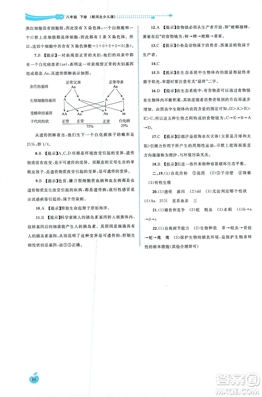 廣西教育出版社2021新課程學(xué)習(xí)與測評同步學(xué)習(xí)生物八年級下冊河北少兒版答案