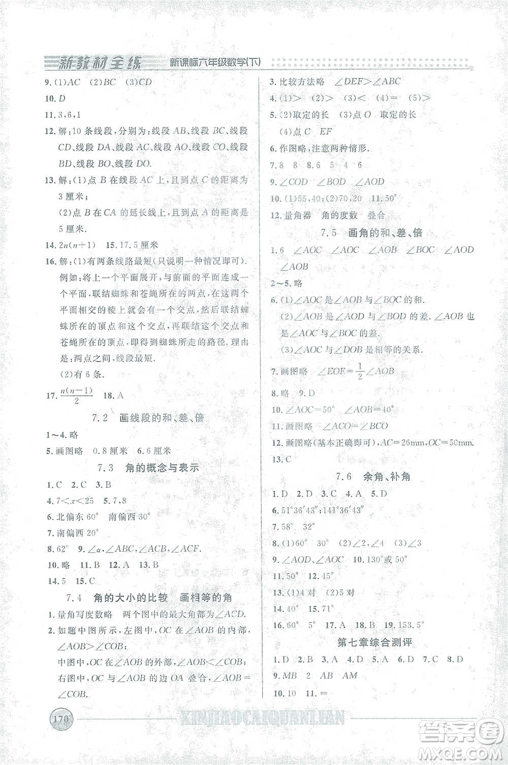 上海大學(xué)出版社2021新教材全練六年級(jí)下冊(cè)數(shù)學(xué)參考答案