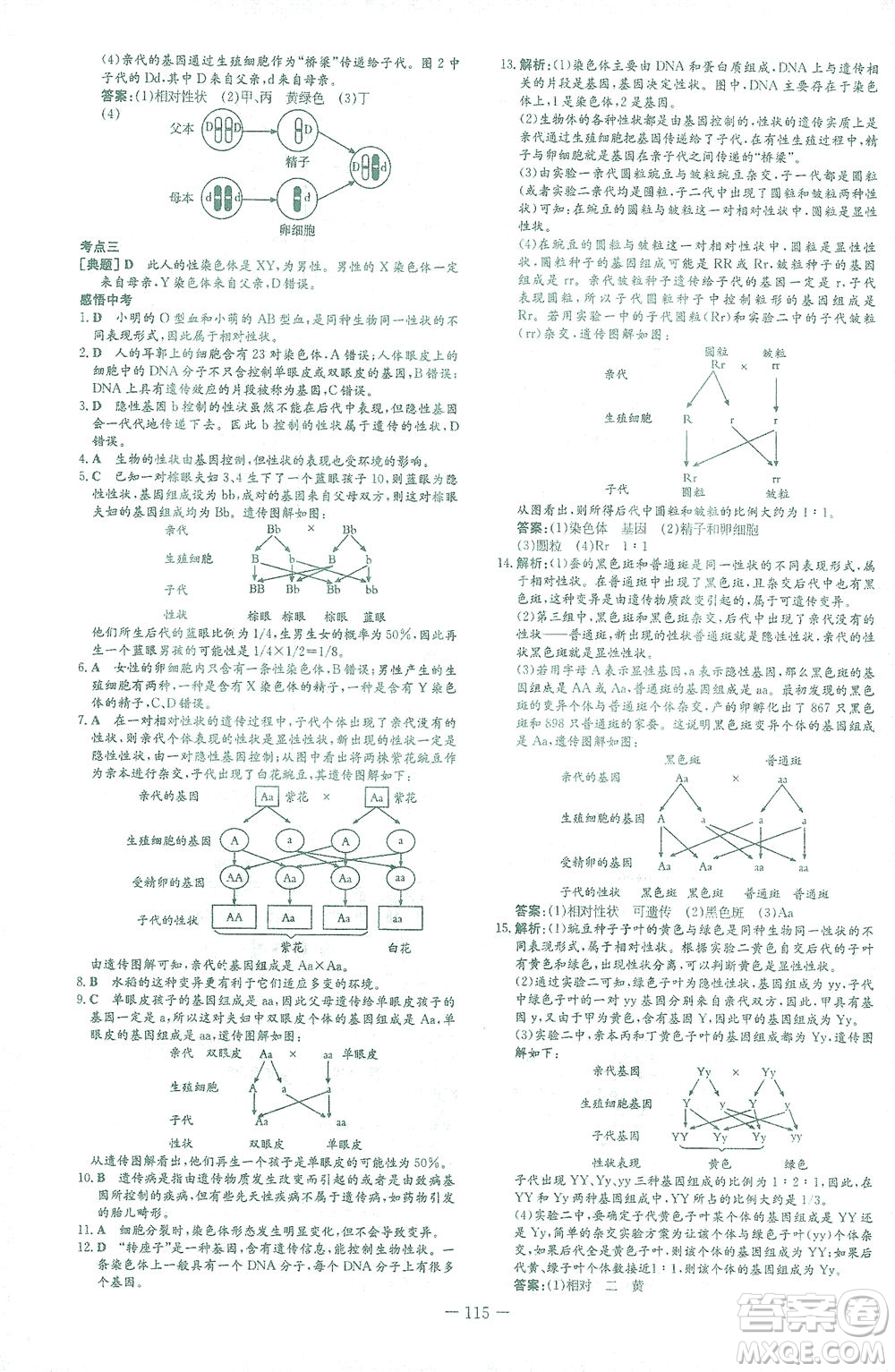 新世紀(jì)出版社2021初中同步學(xué)習(xí)導(dǎo)與練八年級(jí)生物下冊(cè)人教版答案