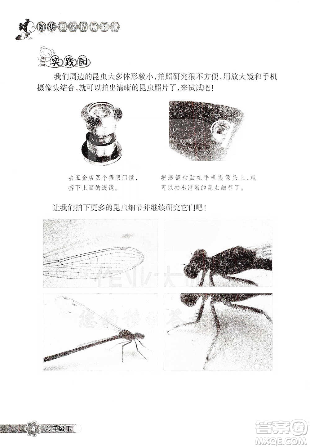 浙江教育出版社2021同步科學(xué)拓展閱讀六年級(jí)下冊(cè)教科版參考答案