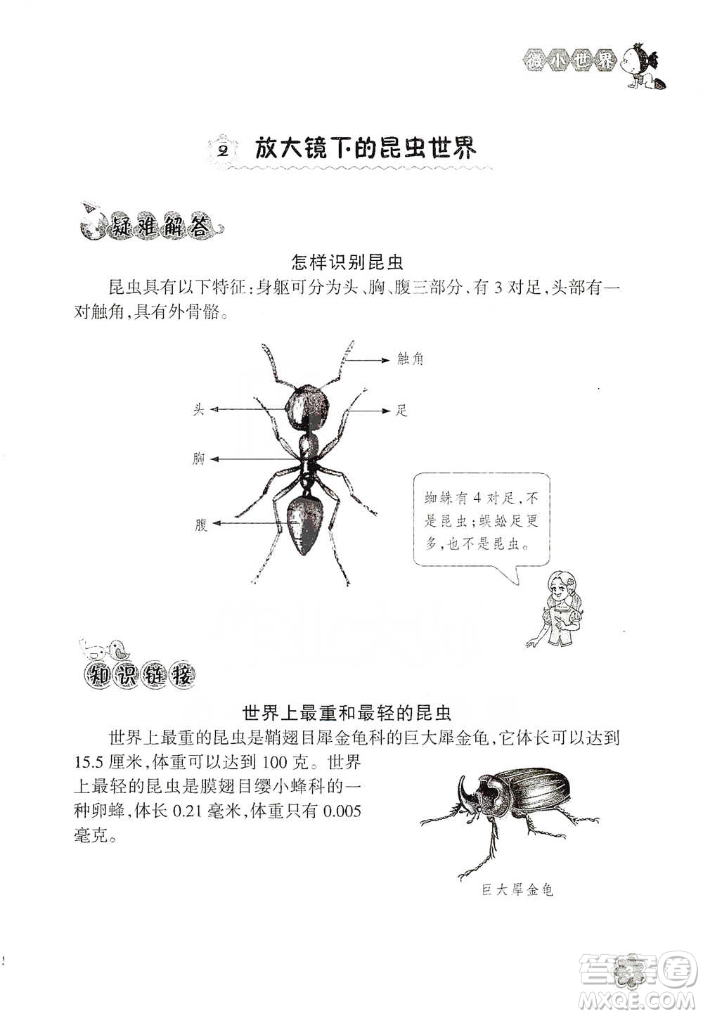 浙江教育出版社2021同步科學(xué)拓展閱讀六年級(jí)下冊(cè)教科版參考答案