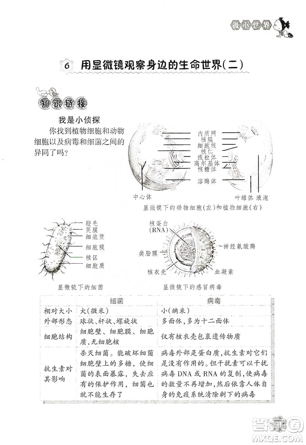 浙江教育出版社2021同步科學(xué)拓展閱讀六年級(jí)下冊(cè)教科版參考答案