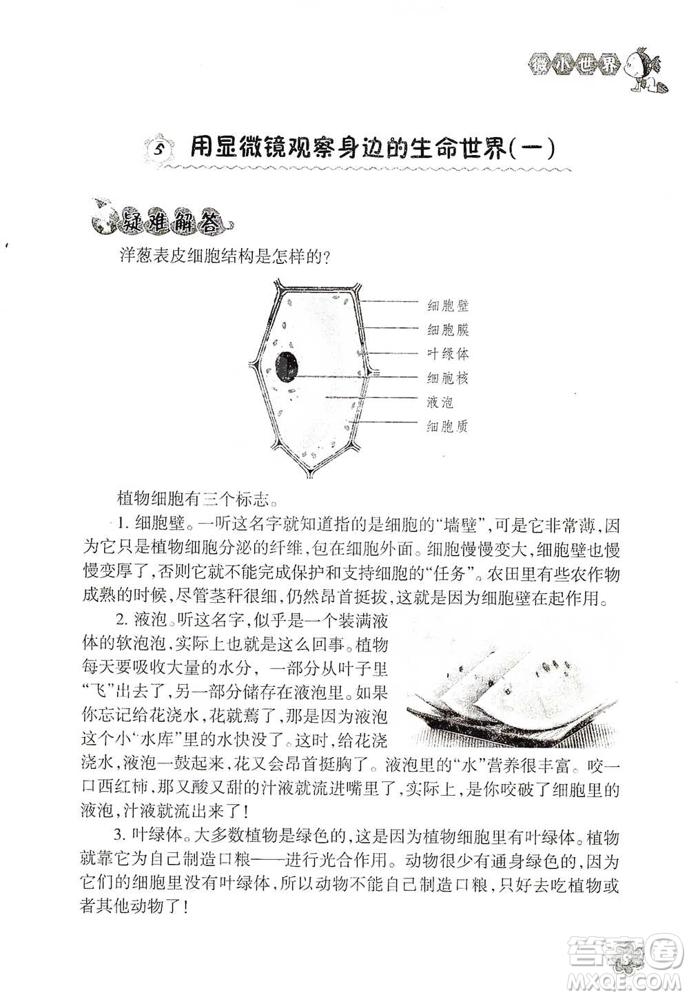 浙江教育出版社2021同步科學(xué)拓展閱讀六年級(jí)下冊(cè)教科版參考答案