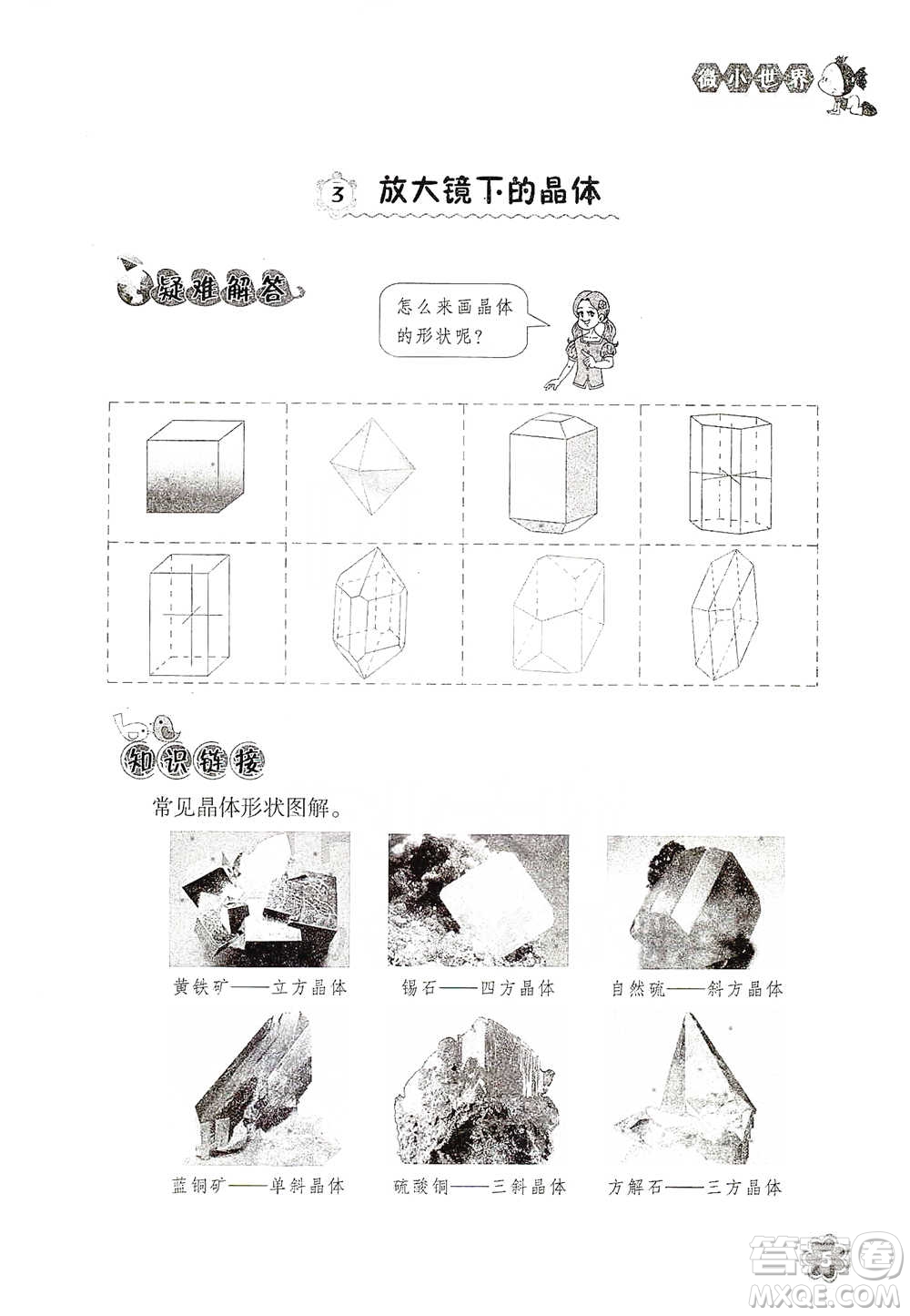 浙江教育出版社2021同步科學(xué)拓展閱讀六年級(jí)下冊(cè)教科版參考答案