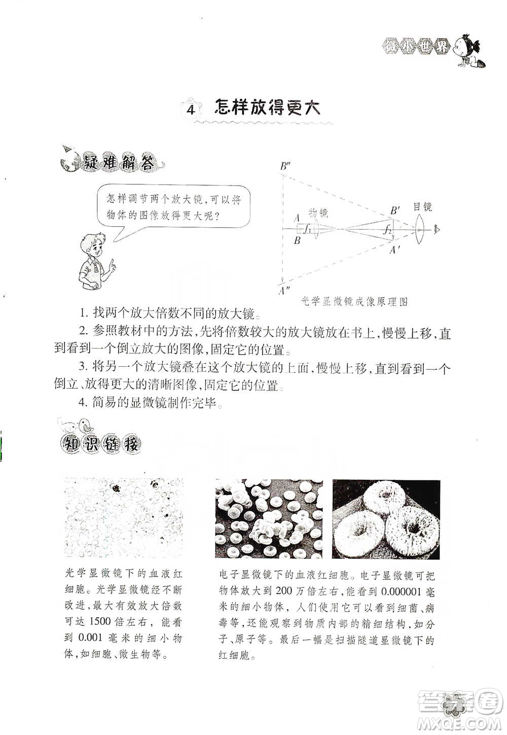 浙江教育出版社2021同步科學(xué)拓展閱讀六年級(jí)下冊(cè)教科版參考答案