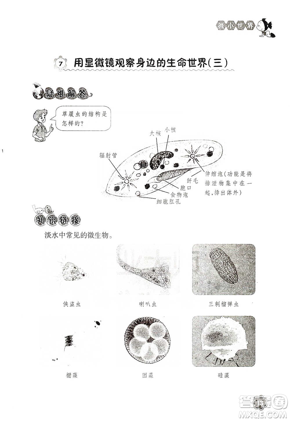 浙江教育出版社2021同步科學(xué)拓展閱讀六年級(jí)下冊(cè)教科版參考答案