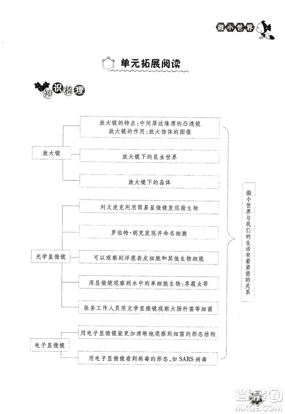 浙江教育出版社2021同步科學(xué)拓展閱讀六年級(jí)下冊(cè)教科版參考答案