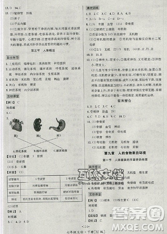 海南出版社2021名師名題生物七年級(jí)下冊(cè)SJ蘇教版答案