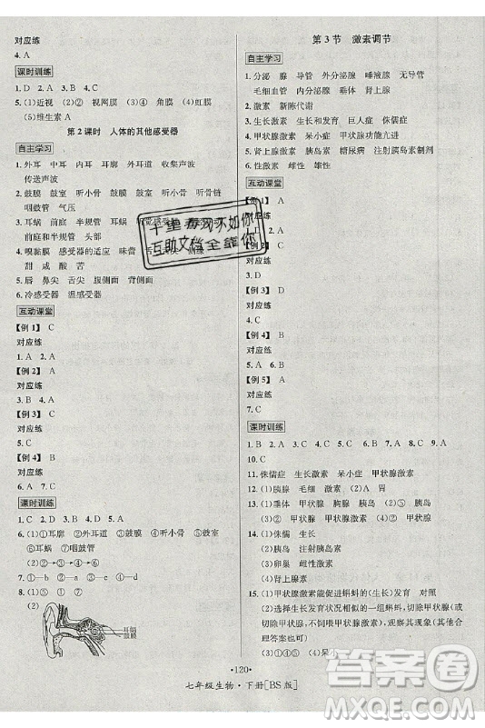 海南出版社2021名師名題生物七年級(jí)下冊(cè)北師版答案