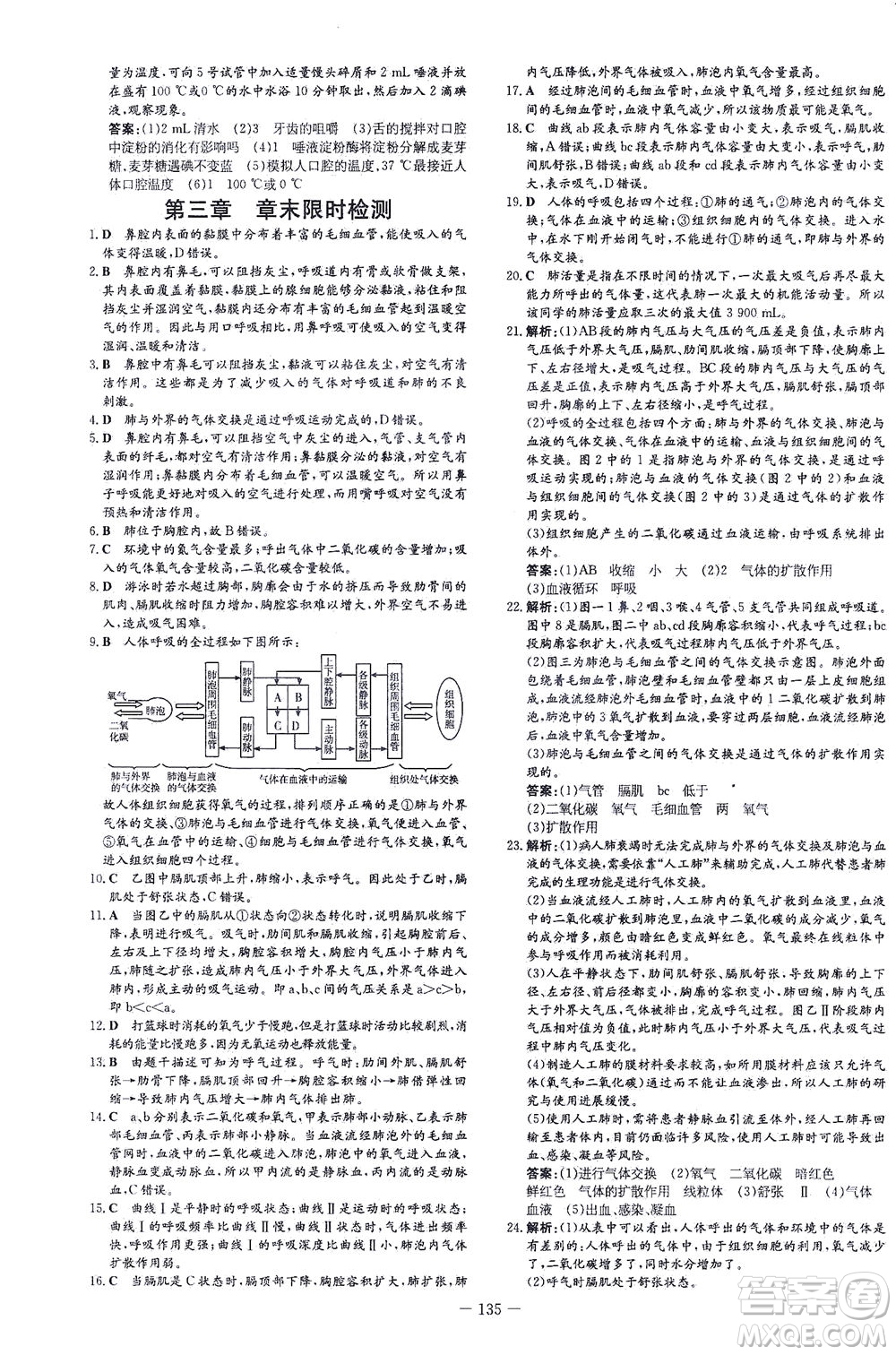 新世紀(jì)出版社2021練案課時(shí)作業(yè)本生物七年級下冊人教版答案