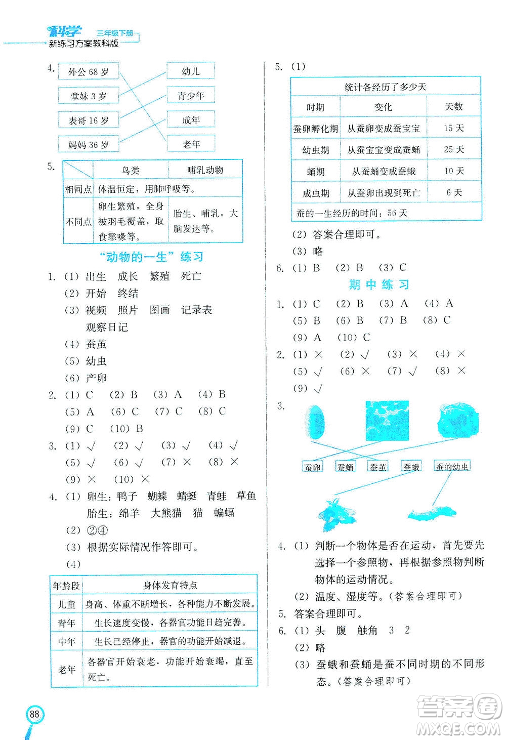 河北美術(shù)出版社2021新練習(xí)方案科學(xué)三年級下冊JK教科版答案