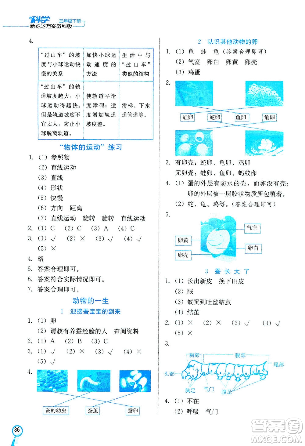 河北美術(shù)出版社2021新練習(xí)方案科學(xué)三年級下冊JK教科版答案