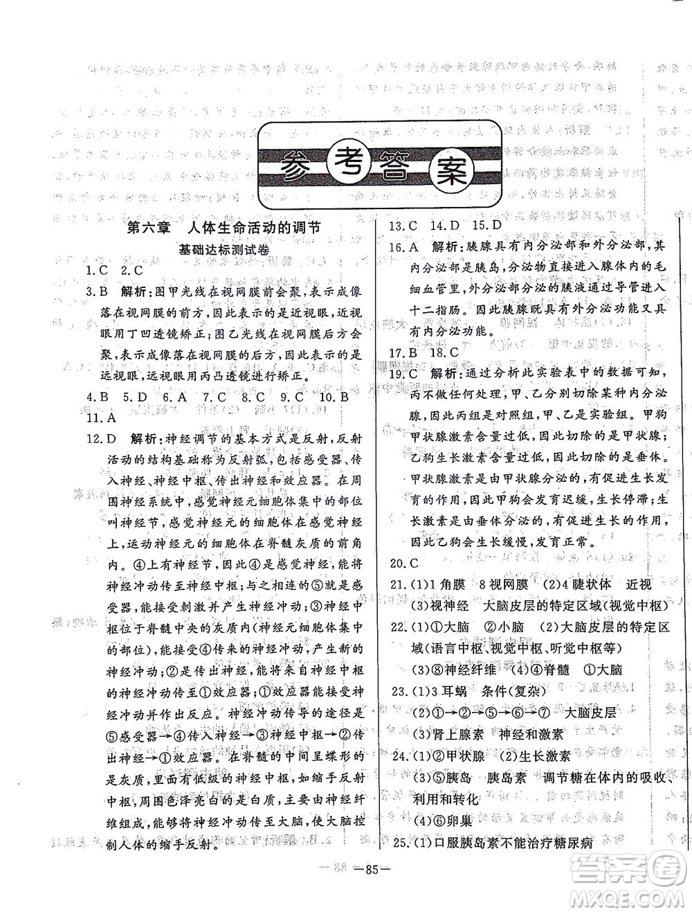 山東文藝出版社2021初中單元提優(yōu)測(cè)試卷七年級(jí)生物下冊(cè)魯教版五四學(xué)制答案