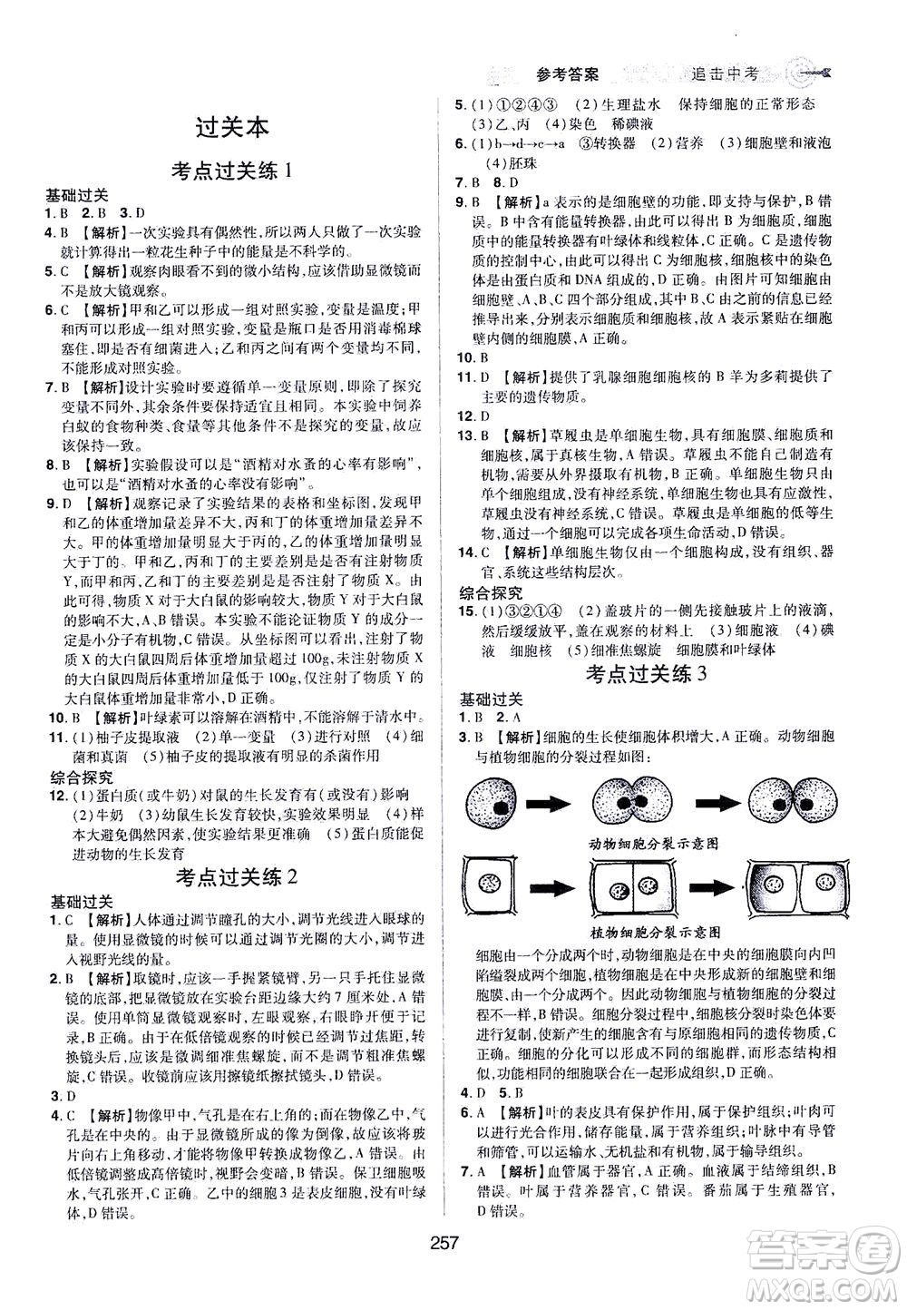 江西美術(shù)出版社2021追擊中考九年級生物下冊江西專版答案