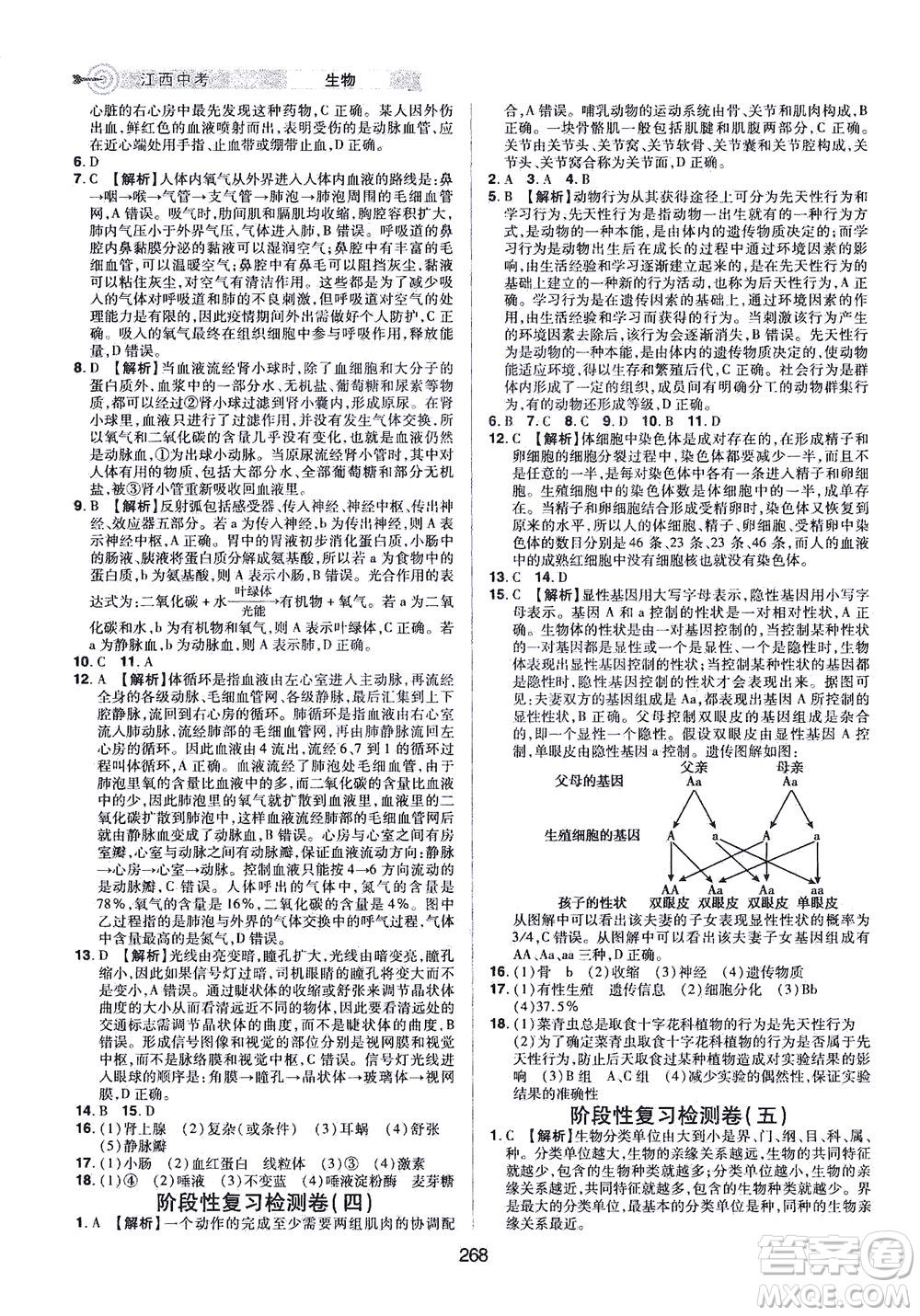 江西美術(shù)出版社2021追擊中考九年級生物下冊江西專版答案