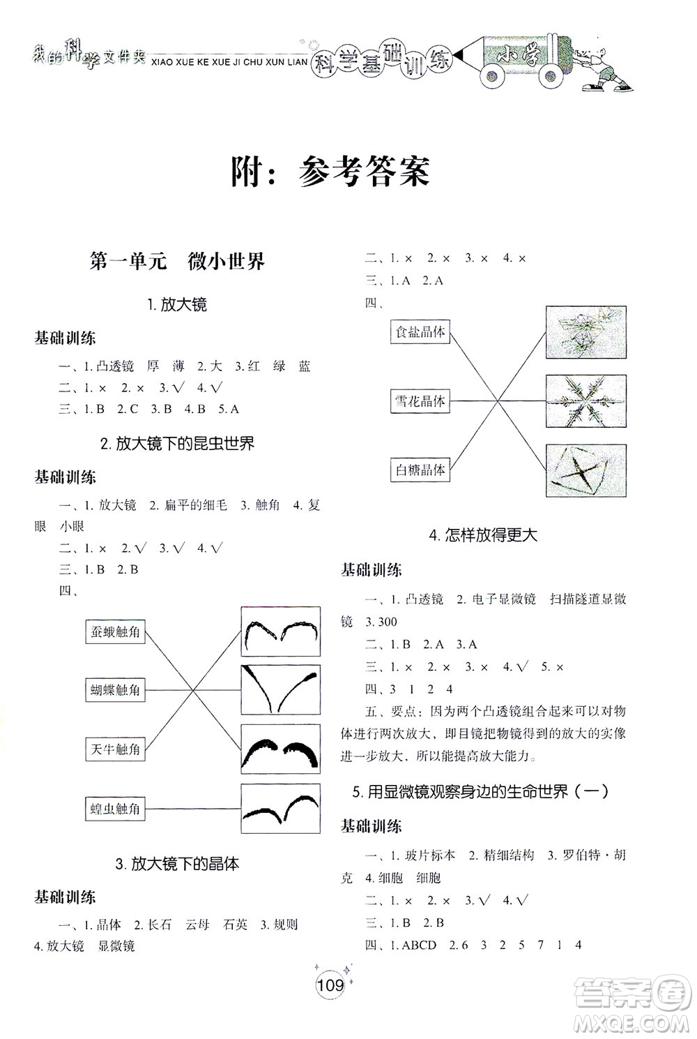 山東教育出版社2021小學(xué)基礎(chǔ)訓(xùn)練六年級(jí)科學(xué)下冊(cè)教科版答案