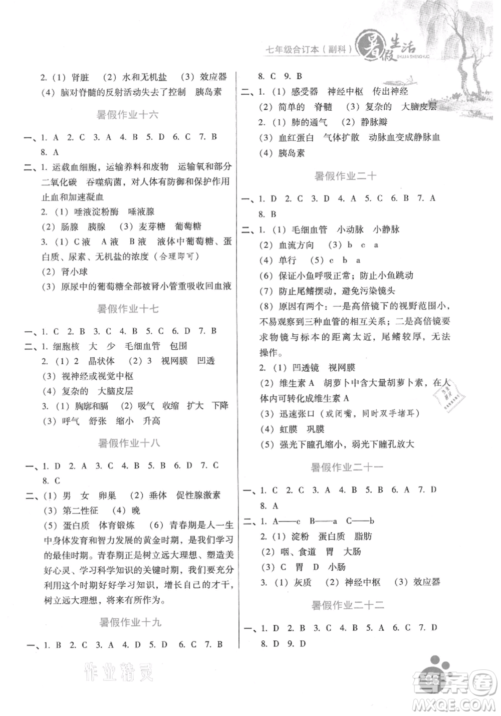 河北少年兒童出版社2021暑假生活七年級(jí)合訂本合訂本(副科)通用版參考答案