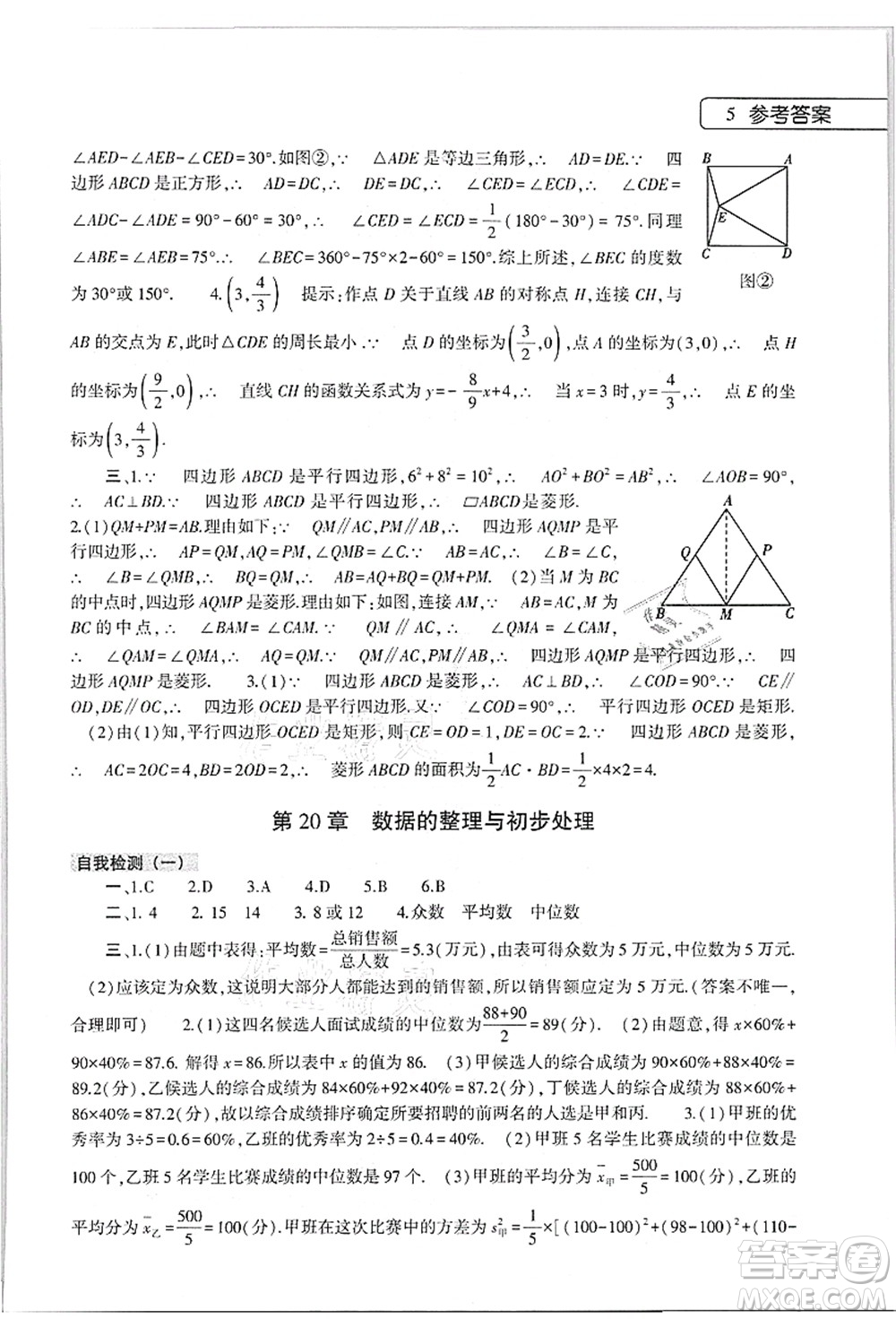 大象出版社2021數(shù)學(xué)英語物理地理生物合訂本暑假作業(yè)本八年級參考答案