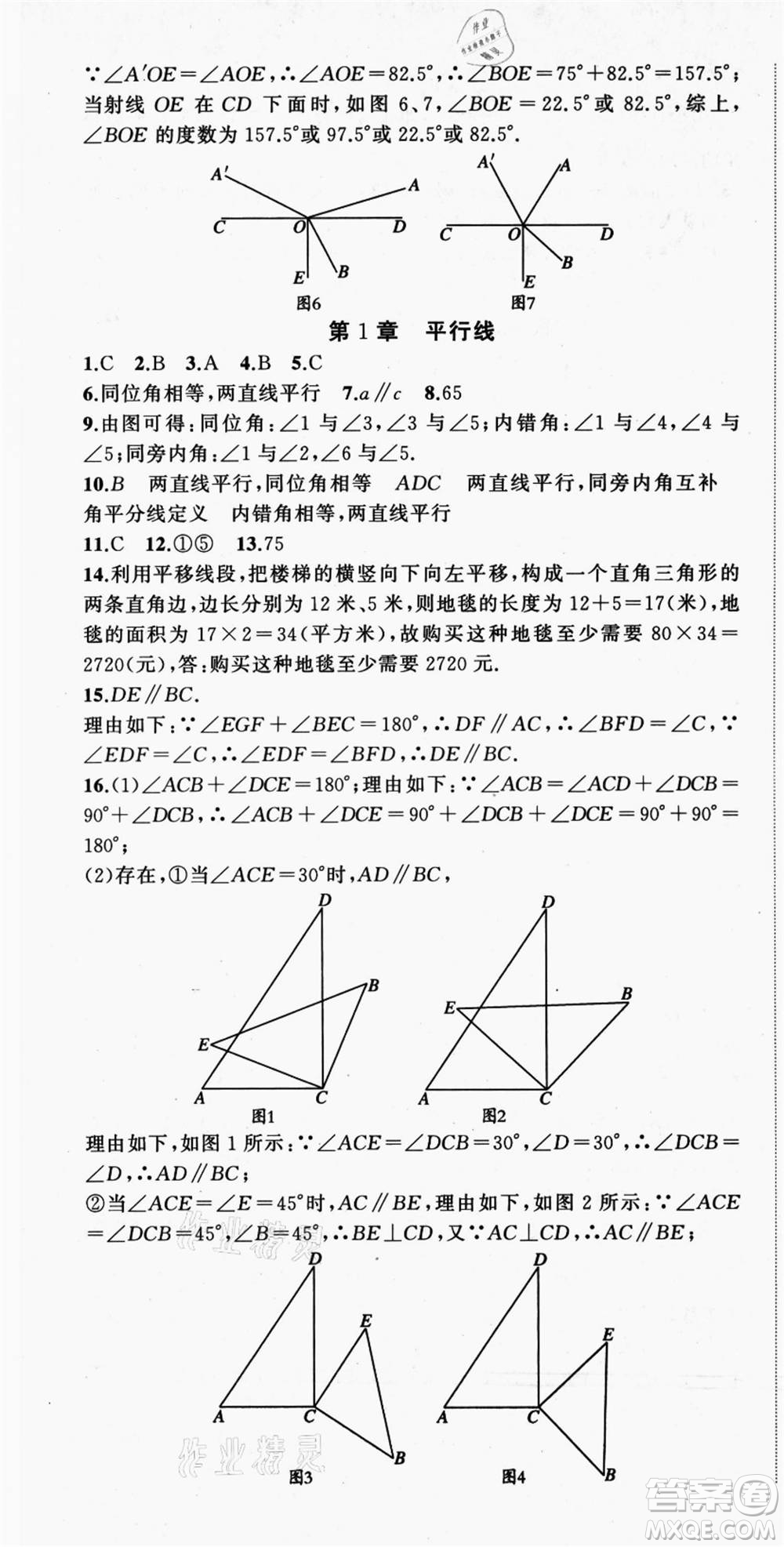 浙江工商大學(xué)出版社2021暑假銜接培優(yōu)教材七升八數(shù)學(xué)浙教版參考答案