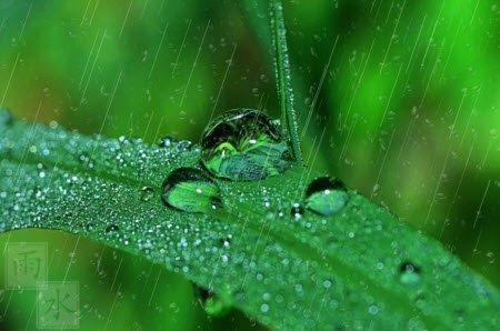 聽雨的心聲為題作文600字 關于聽雨的心聲的作文600字