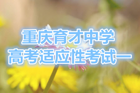 重慶育才中學高2022屆高考適應性考試一數學試題及答案