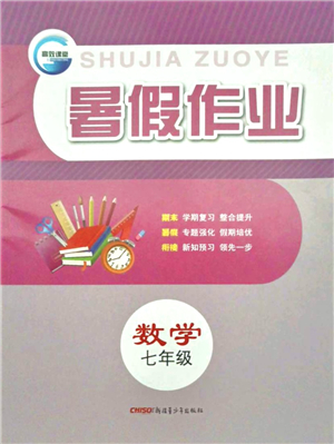 新疆青少年出版社2021暑假作業(yè)七年級數(shù)學(xué)人教版答案