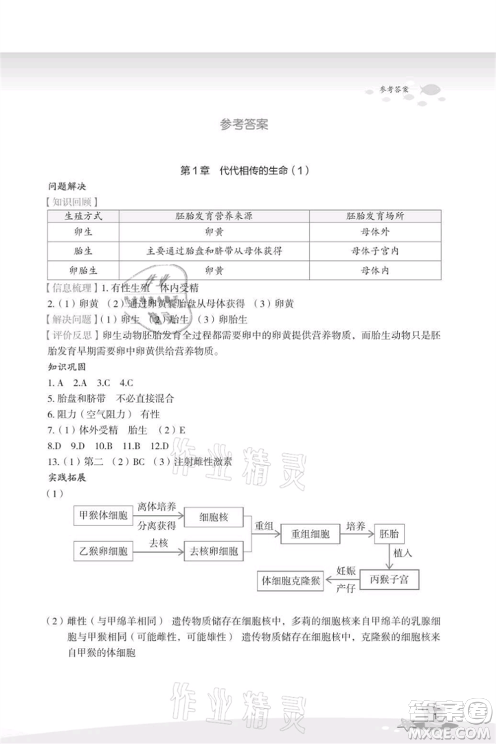 浙江教育出版社2021快樂(lè)暑假七年級(jí)科學(xué)參考答案