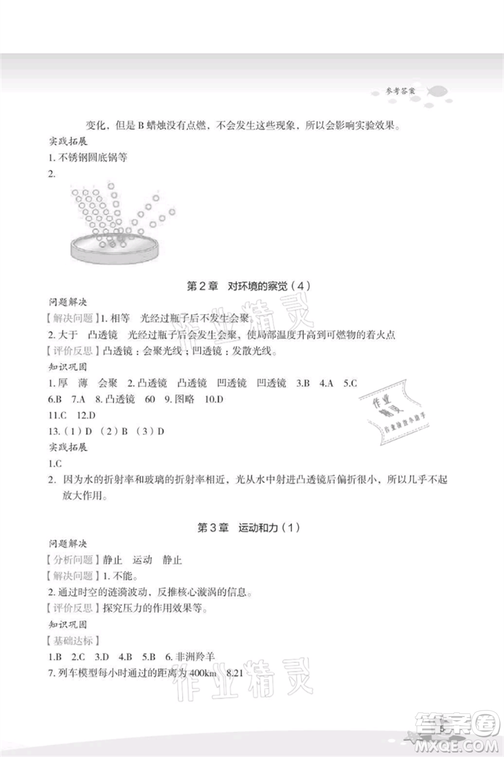 浙江教育出版社2021快樂(lè)暑假七年級(jí)科學(xué)參考答案