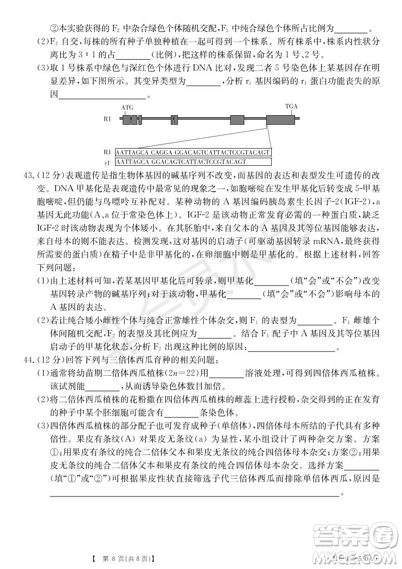 湖北省武漢大學附屬中學2021年秋高二開學分班考試生物試題及答案