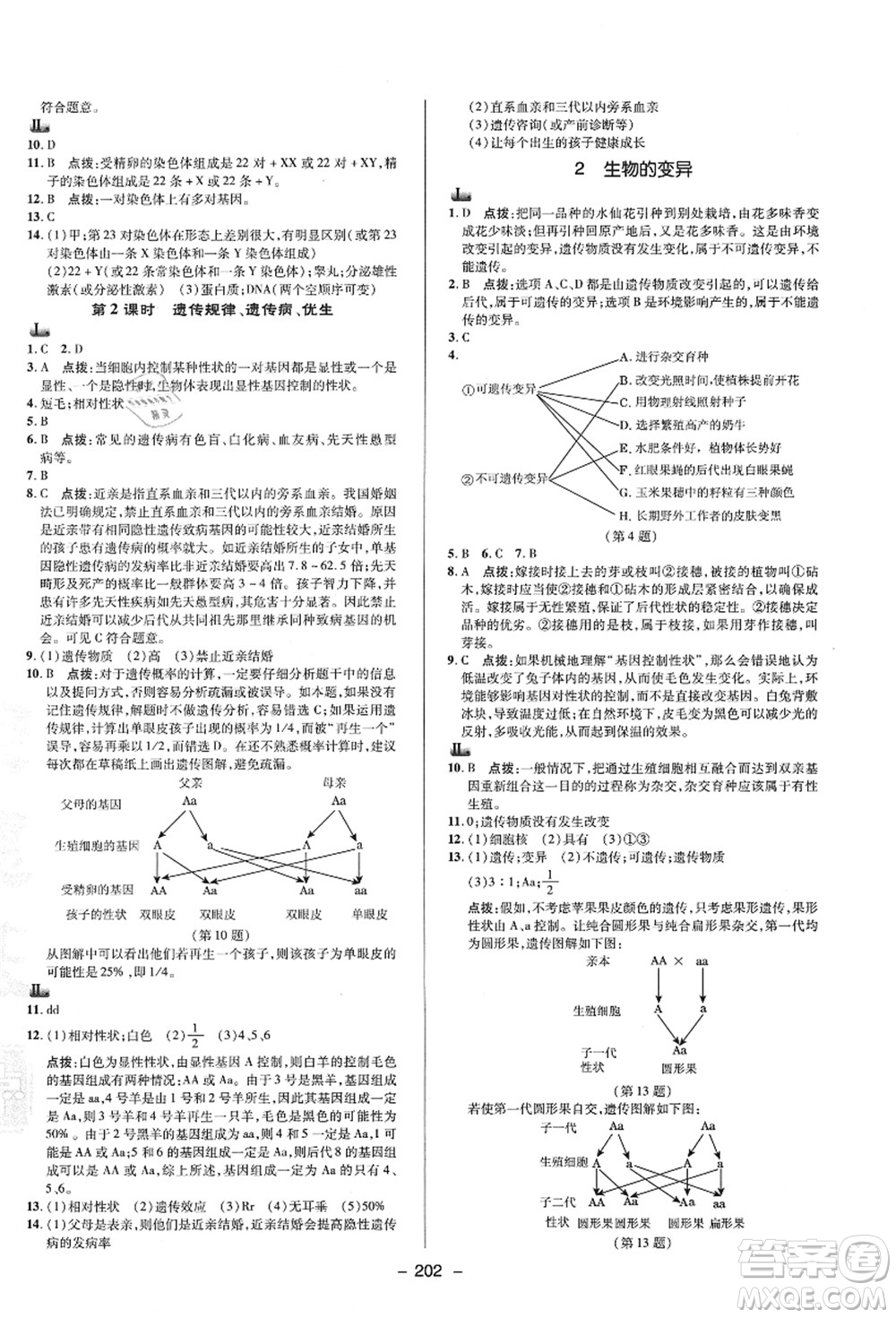 陜西人民教育出版社2021典中點(diǎn)綜合應(yīng)用創(chuàng)新題九年級(jí)科學(xué)全一冊(cè)HS華師大版答案