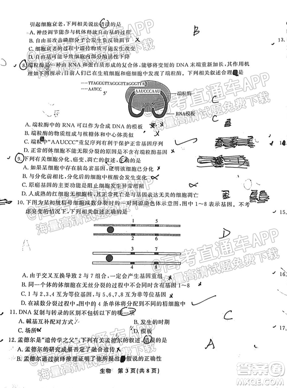 2022屆高三年級江西智學(xué)聯(lián)盟體第一次聯(lián)考生物試卷及答案