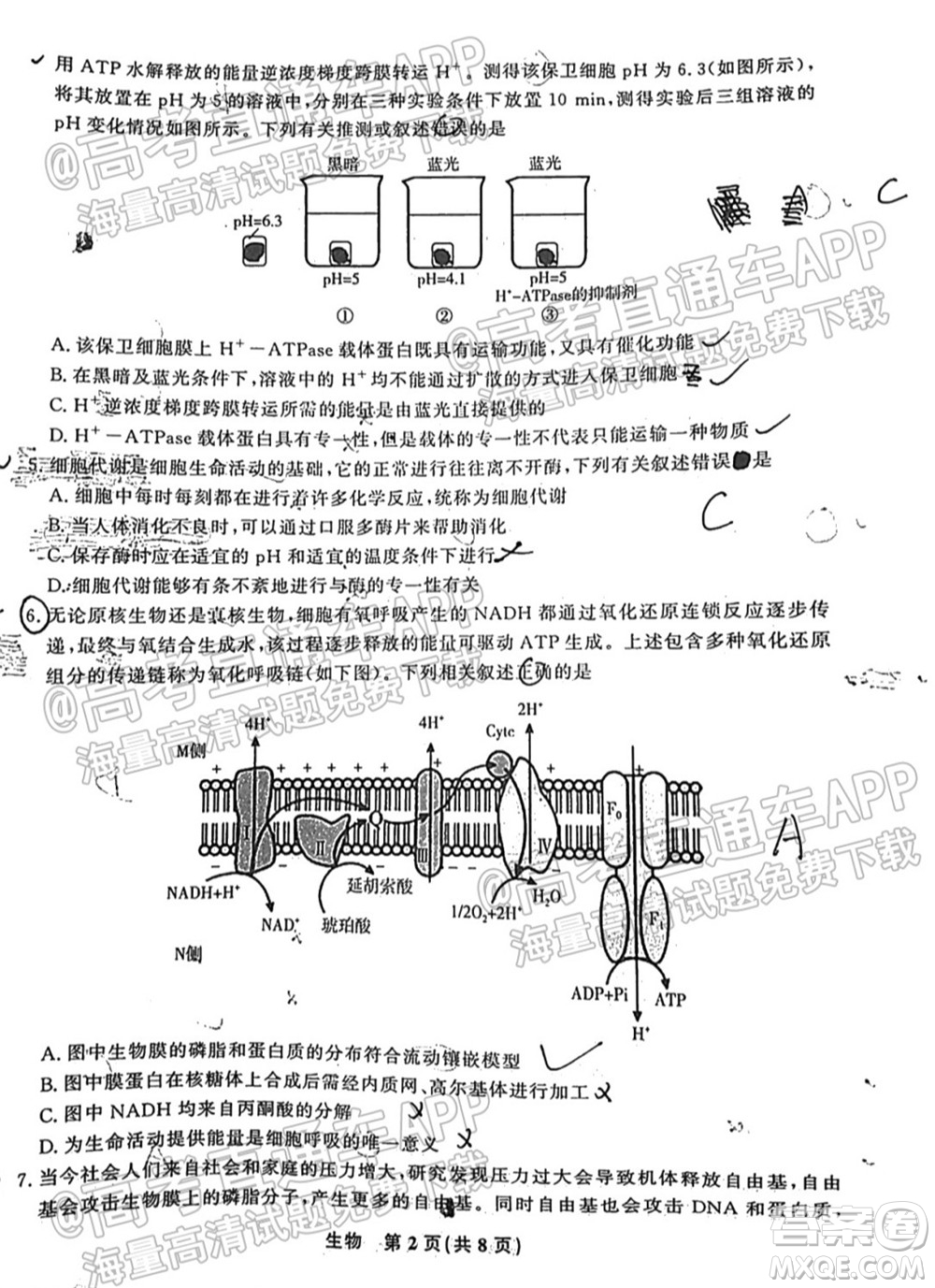 2022屆高三年級江西智學(xué)聯(lián)盟體第一次聯(lián)考生物試卷及答案