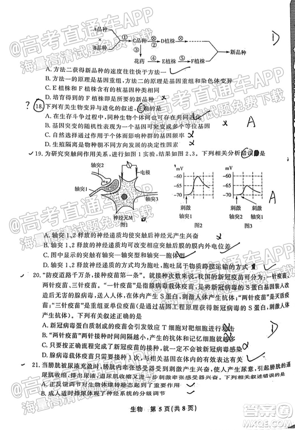 2022屆高三年級江西智學(xué)聯(lián)盟體第一次聯(lián)考生物試卷及答案