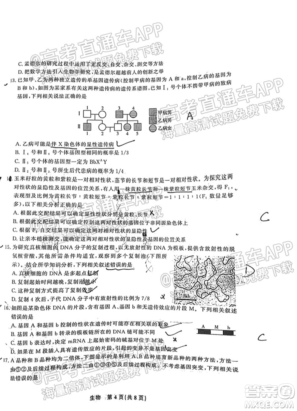 2022屆高三年級江西智學(xué)聯(lián)盟體第一次聯(lián)考生物試卷及答案