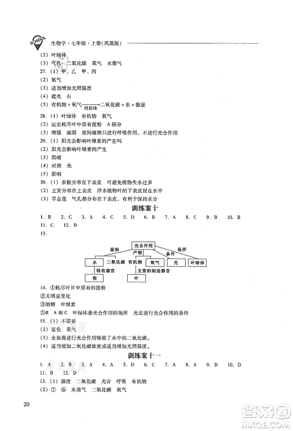 山西教育出版社2021新課程問(wèn)題解決導(dǎo)學(xué)方案七年級(jí)生物上冊(cè)鳳凰版答案