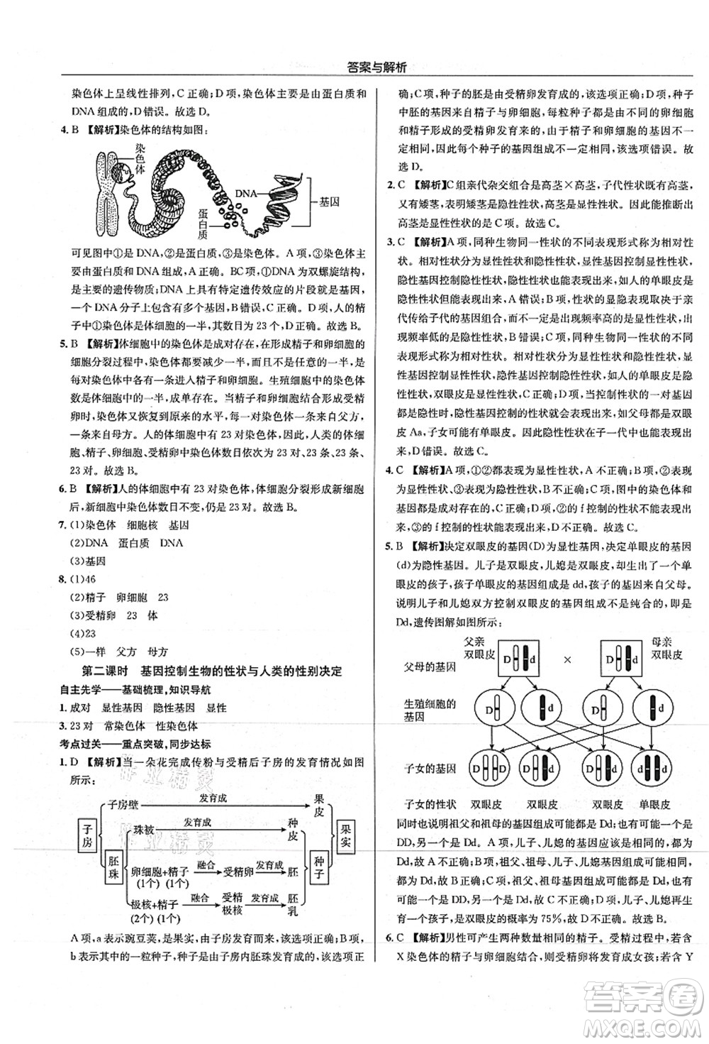 龍門書局2021啟東中學(xué)作業(yè)本八年級生物全一冊SK蘇科版答案