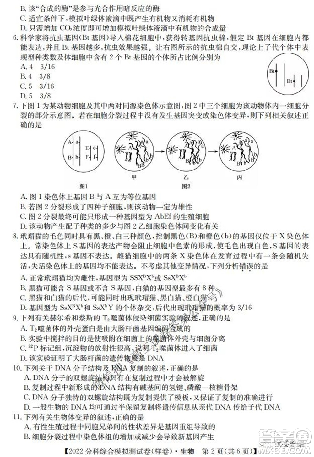 2022屆全國高考分科綜合模擬測試卷樣卷生物試題及答案