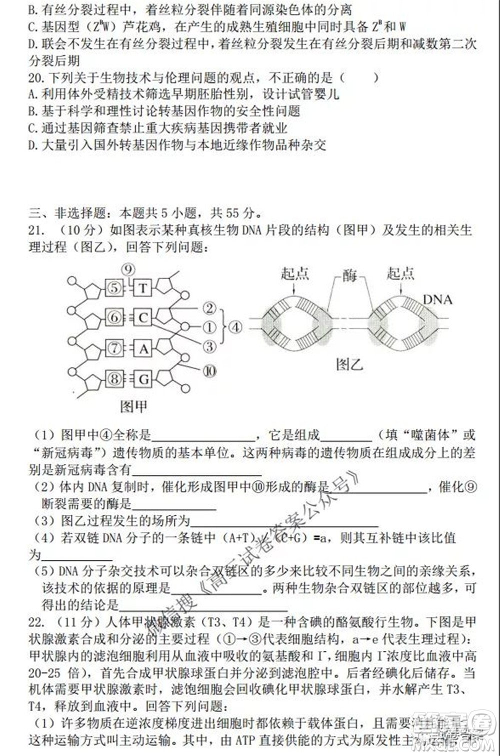 2021-2022學年度上遼寧省六校高三年級期初聯(lián)考生物試題及答案