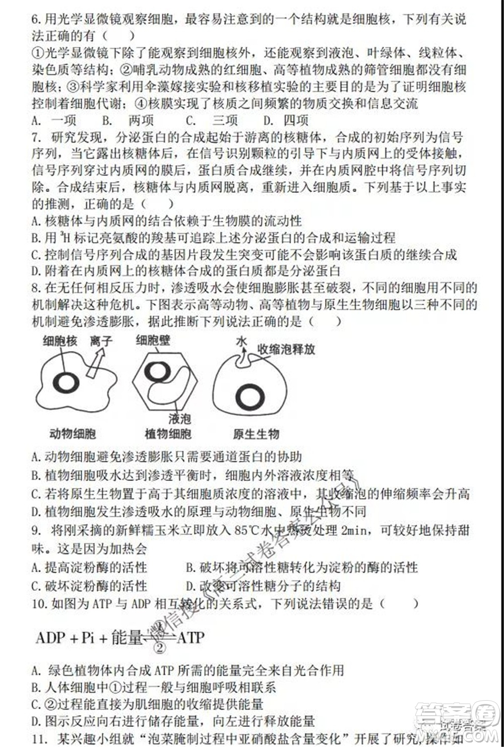 2021-2022學年度上遼寧省六校高三年級期初聯(lián)考生物試題及答案