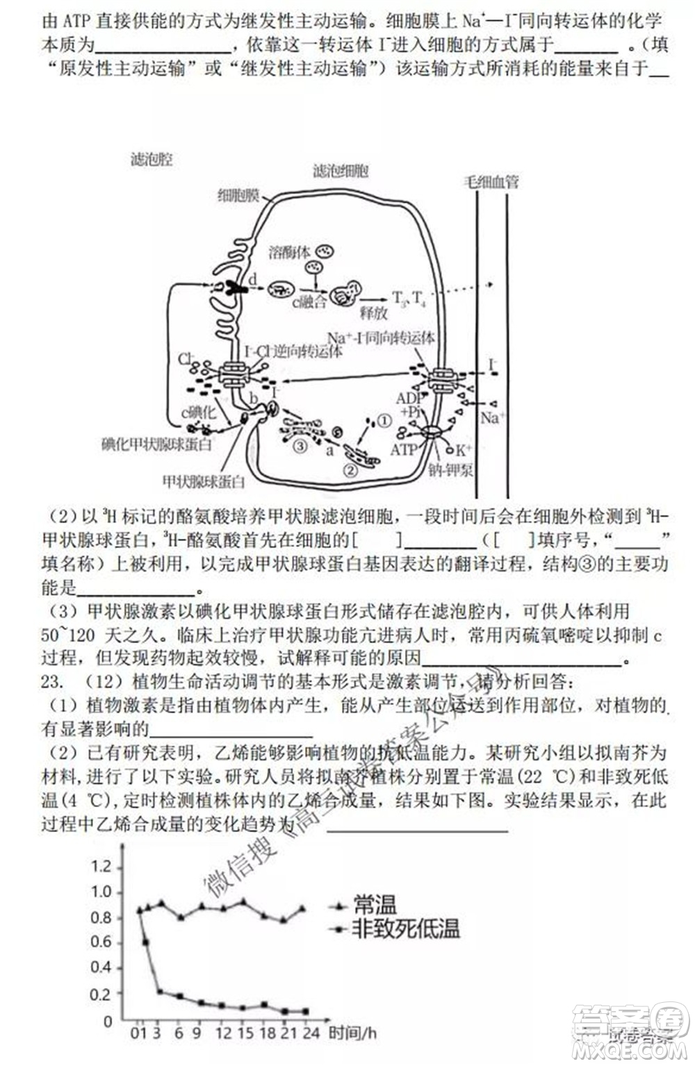 2021-2022學年度上遼寧省六校高三年級期初聯(lián)考生物試題及答案